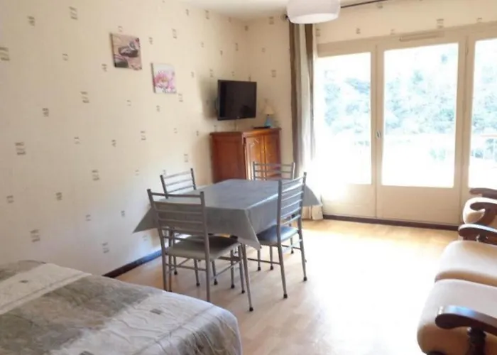 Cosy Avec Balcon Et Parking - Proche Cures Et Centre Ville, Wifi, Animaux Acceptes - Fr-1-703-39